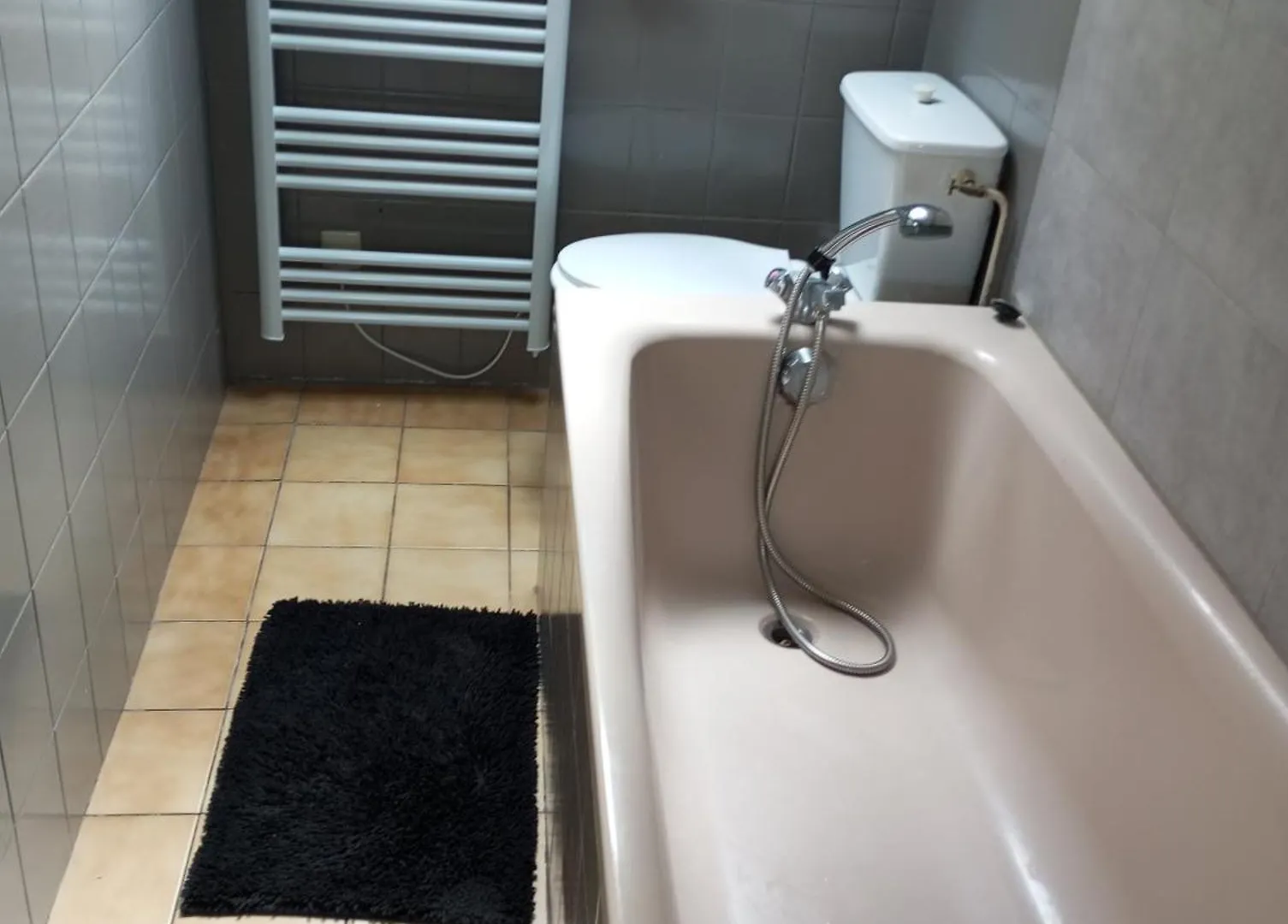 Petit Appartement Centre Vitre アパート